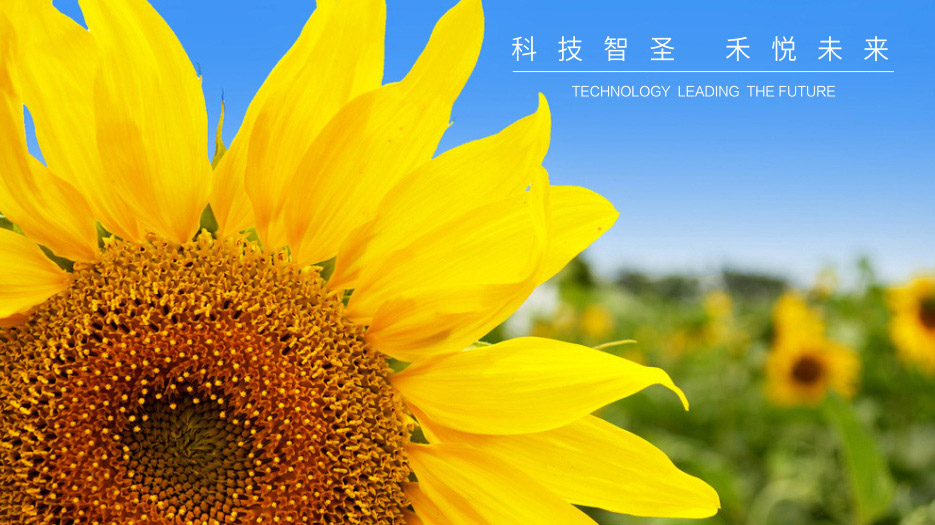 圣禾光學(xué)_觸屏科技_LOGO設(shè)計(jì)_品牌形象定制